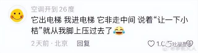 “人工智能让董事长靠边站？”哈哈爱看一些人工智障...,“人工智能让董事长靠边站？”哈哈爱看一些人工智障...,第11张