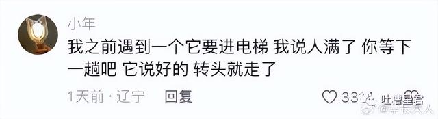 “人工智能让董事长靠边站？”哈哈爱看一些人工智障...,“人工智能让董事长靠边站？”哈哈爱看一些人工智障...,第13张