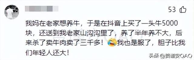 拼多多还真是啥都能买到！网友的评论简直太离谱，购买欲直接拉满,拼多多还真是啥都能买到！网友的评论简直太离谱，购买欲直接拉满,第13张