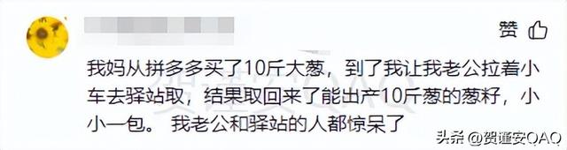 拼多多还真是啥都能买到！网友的评论简直太离谱，购买欲直接拉满,拼多多还真是啥都能买到！网友的评论简直太离谱，购买欲直接拉满,第17张