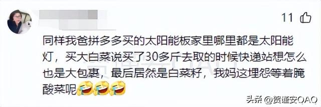 拼多多还真是啥都能买到！网友的评论简直太离谱，购买欲直接拉满,拼多多还真是啥都能买到！网友的评论简直太离谱，购买欲直接拉满,第28张