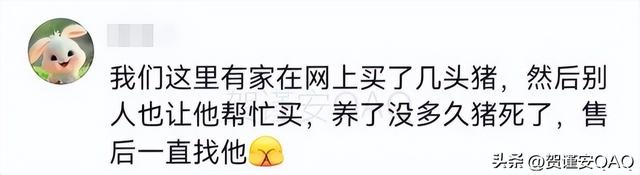 拼多多还真是啥都能买到！网友的评论简直太离谱，购买欲直接拉满,拼多多还真是啥都能买到！网友的评论简直太离谱，购买欲直接拉满,第33张