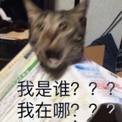 果然，我们都被无痕模式给骗了,果然，我们都被无痕模式给骗了,第8张