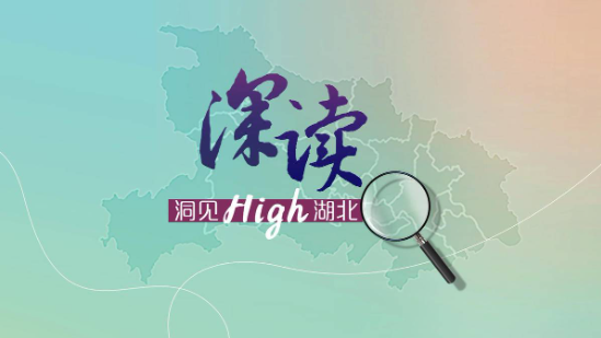 深读｜花湖机场启示录：赢在政府与市场的高效互动,深读｜花湖机场启示录：赢在政府与市场的高效互动,第8张