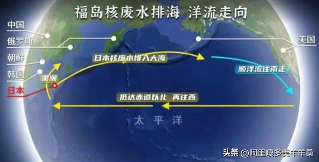 核危机大潮汹涌，中国应对致命核污水，生存之战已迫在眉睫！,核危机大潮汹涌，中国应对致命核污水，生存之战已迫在眉睫！,第4张