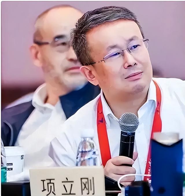项立刚就中美信息技术发言，表示中国科技超越欧美，再引起热议,项立刚就中美信息技术发言，表示中国科技超越欧美，再引起热议,第3张