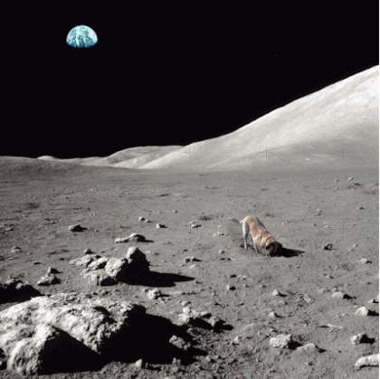 NASA翻车了？为何嫦娥五号带回月壤是彩色的，阿波罗月岩是灰色的