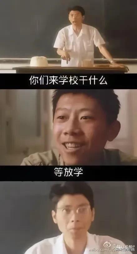 骆驼祥子到死都以为是自己不够努力，实体店到死都以为是电商害的,骆驼祥子到死都以为是自己不够努力，实体店到死都以为是电商害的,第5张