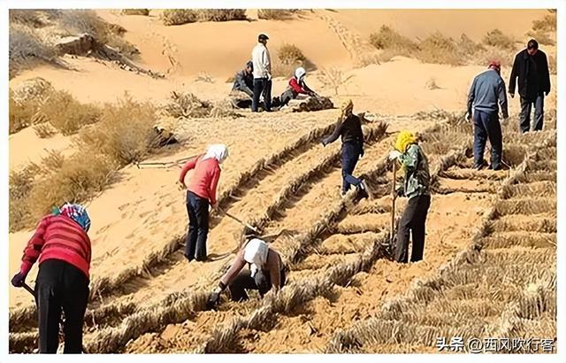 相当于20个三峡大坝，外媒突然发现，中国悄悄在沙漠里干了件大事,相当于20个三峡大坝，外媒突然发现，中国悄悄在沙漠里干了件大事,第5张