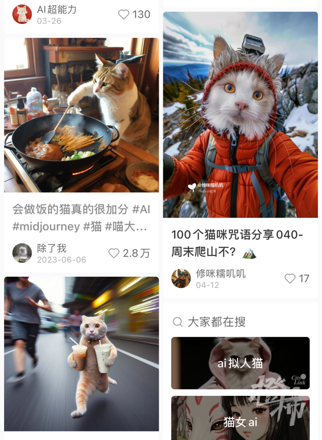 00后接管官方账号后发了它爆火！突然之间，全网都在发小猫的视频？,00后接管官方账号后发了它爆火！突然之间，全网都在发小猫的视频？,第8张