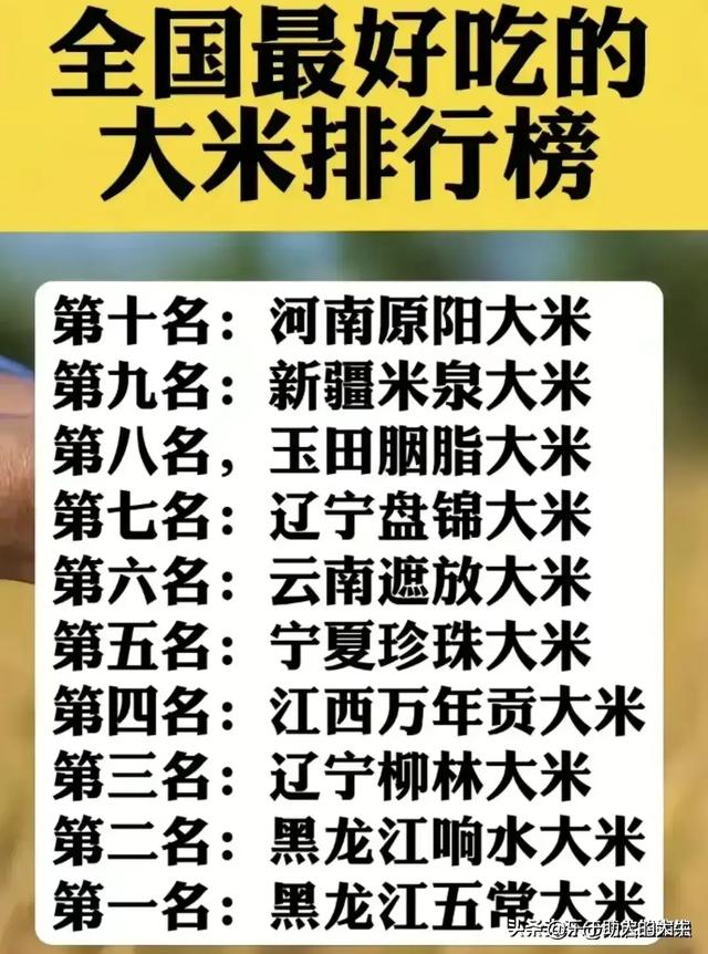 我国造价最贵的大桥有哪些？,我国造价最贵的大桥有哪些？,第12张