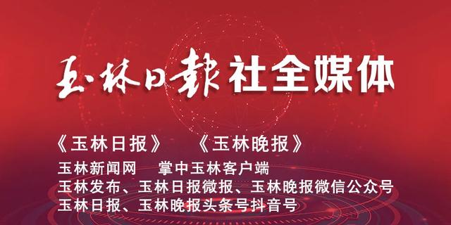 投资142.3亿元！广西又一条新高速有重要进展,投资142.3亿元！广西又一条新高速有重要进展,第3张