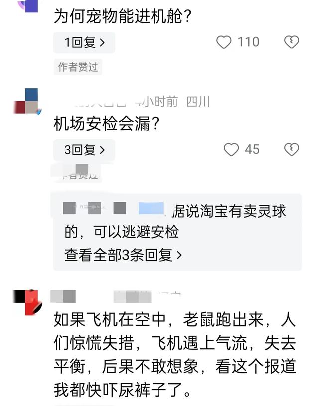 惊爆 机场安检漏洞引发航班延误，宠物仓鼠成“逃犯”,惊爆 机场安检漏洞引发航班延误，宠物仓鼠成“逃犯”,第3张