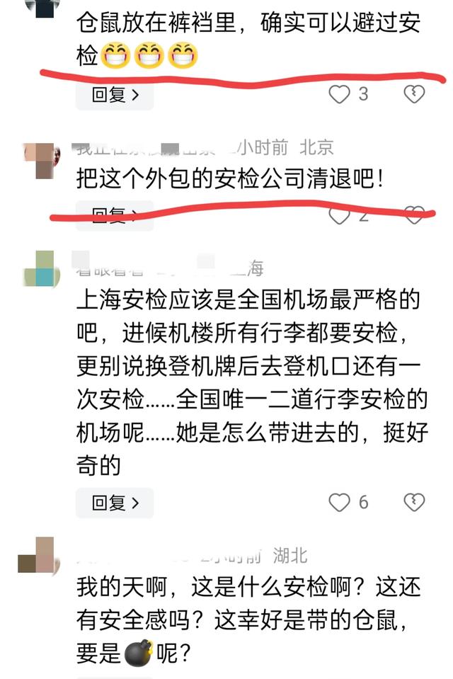 惊爆 机场安检漏洞引发航班延误，宠物仓鼠成“逃犯”,惊爆 机场安检漏洞引发航班延误，宠物仓鼠成“逃犯”,第6张