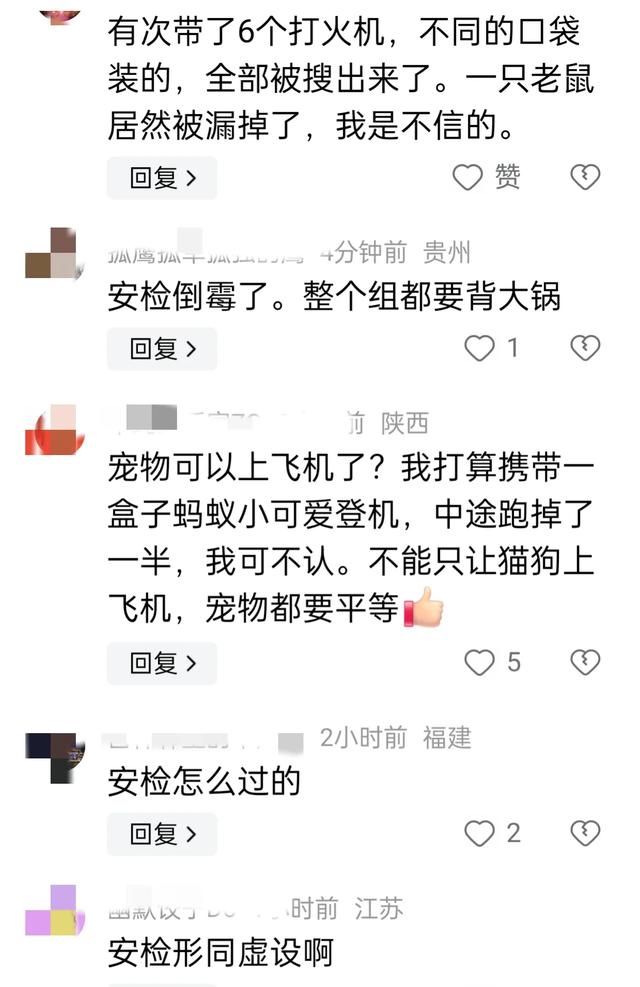 惊爆 机场安检漏洞引发航班延误，宠物仓鼠成“逃犯”,惊爆 机场安检漏洞引发航班延误，宠物仓鼠成“逃犯”,第5张