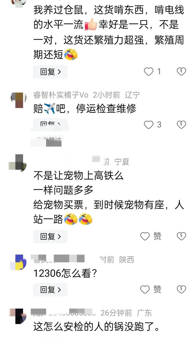 惊爆 机场安检漏洞引发航班延误，宠物仓鼠成“逃犯”,惊爆 机场安检漏洞引发航班延误，宠物仓鼠成“逃犯”,第4张