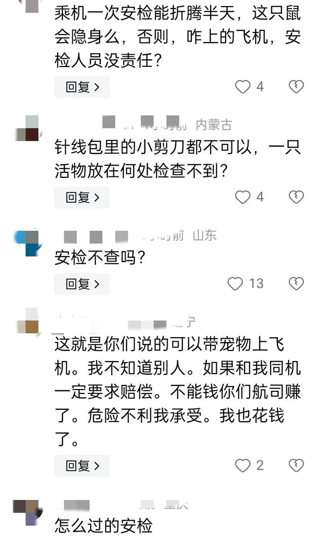 惊爆 机场安检漏洞引发航班延误，宠物仓鼠成“逃犯”,惊爆 机场安检漏洞引发航班延误，宠物仓鼠成“逃犯”,第7张