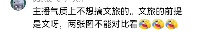 小杨哥想学董宇辉！打造直播带货+文旅栏目！没想到出来丢人现眼,小杨哥想学董宇辉！打造直播带货+文旅栏目！没想到出来丢人现眼,第13张