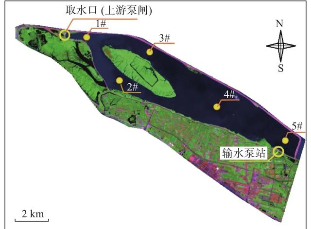 中国最大江心水库青草沙，留住入海浪费的淡水，满足1300万人需求,中国最大江心水库青草沙，留住入海浪费的淡水，满足1300万人需求,第9张