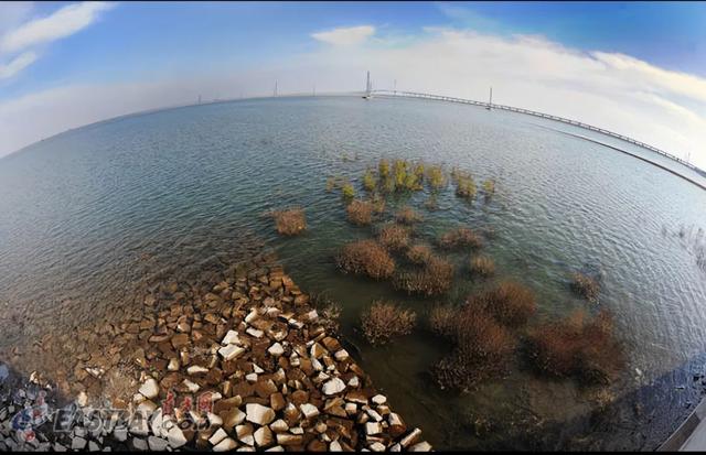 中国最大江心水库青草沙，留住入海浪费的淡水，满足1300万人需求,中国最大江心水库青草沙，留住入海浪费的淡水，满足1300万人需求,第10张