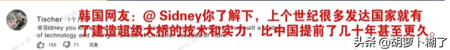 傻眼了！中国深中通道开通，被韩国网友逗乐了：你们没有飞机吗？,傻眼了！中国深中通道开通，被韩国网友逗乐了：你们没有飞机吗？,第12张