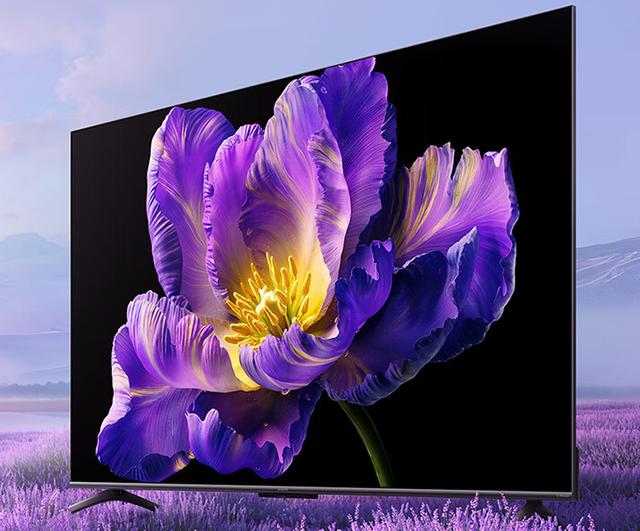 雷鸟电视、小米电视、海信电视的入门级Mini LED哪家强？,雷鸟电视、小米电视、海信电视的入门级Mini LED哪家强？,第11张