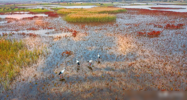 小浪底调水调沙20年，库区淤积泥沙31亿m³，排沙效果有多显著？,小浪底调水调沙20年，库区淤积泥沙31亿m³，排沙效果有多显著？,第12张