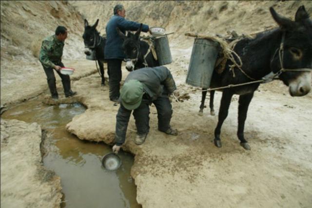 为何说南水北调工程，成了生物入侵“高速路”，我们该如何阻止？,为何说南水北调工程，成了生物入侵“高速路”，我们该如何阻止？,第2张