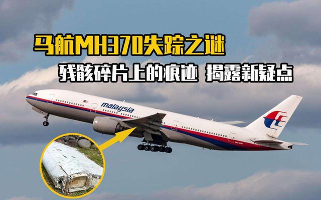 找到MH370坠机地点的关键？附着残骸的藤壶包含水温信息,找到MH370坠机地点的关键？附着残骸的藤壶包含水温信息,第5张