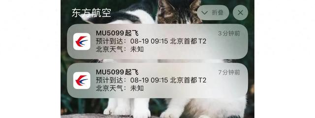 全国人民都知道这架飞机起飞了，网友：我还以为我老公出轨了