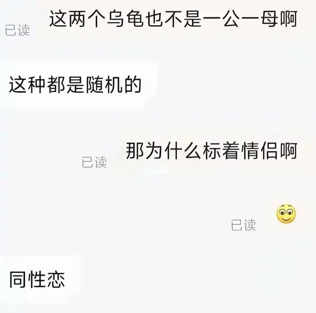 现在客服聊天的尺度都这么大了吗？看完网友的评论，我哭笑不得,现在客服聊天的尺度都这么大了吗？看完网友的评论，我哭笑不得,第9张