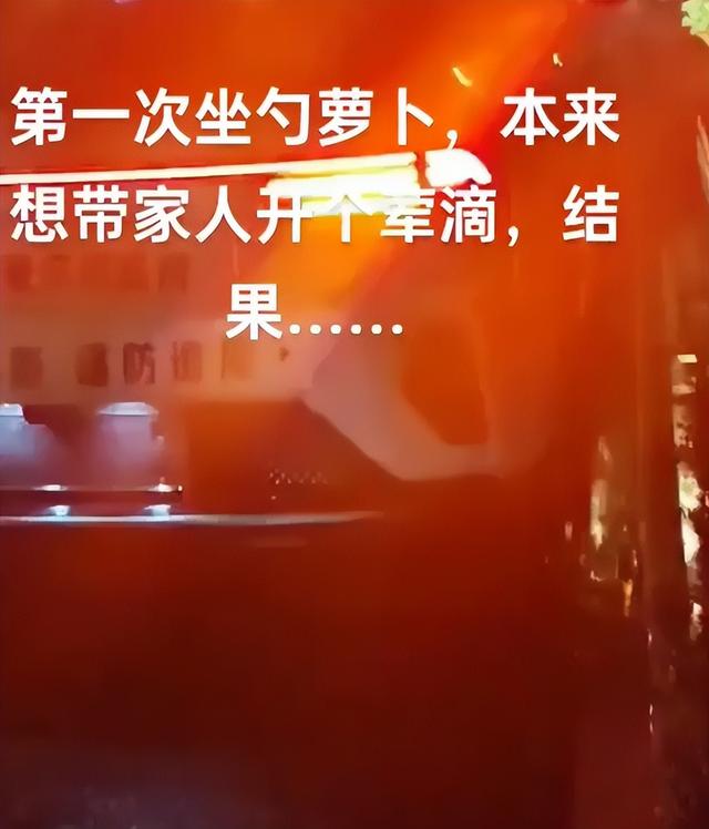 萝卜"无情"还是乘客"任性"？一场雨夜引发的交通新思考,萝卜,第5张