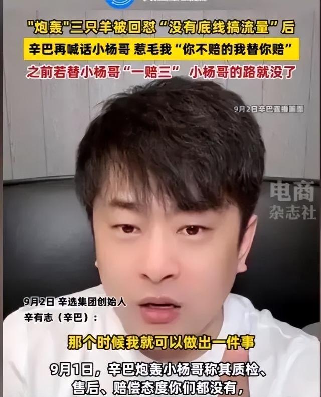 太刚！三只羊卢总公开道歉!辛有志立马就发千字长文回怼！,太刚！三只羊卢总公开道歉!辛有志立马就发千字长文回怼！,第16张