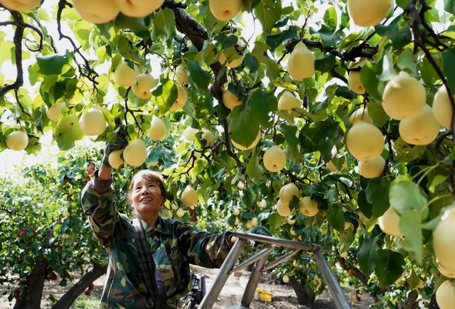 太反常了！以美国为首的外媒齐发声：中国在关键领域全面崛起,太反常了！以美国为首的外媒齐发声：中国在关键领域全面崛起,第5张