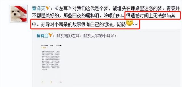 6年后，再看章泽天和刘强东的婚姻，才明白原谅他是正确的选择,6年后，再看章泽天和刘强东的婚姻，才明白原谅他是正确的选择,第18张