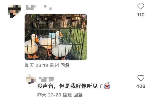 不是吧 微信实况图的第一批“受害者”出现了 网友 一觉醒来天塌了！,不是吧 微信实况图的第一批“受害者”出现了 网友 一觉醒来天塌了！,第3张