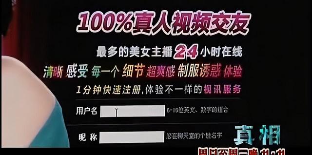 色情网站“丁香”覆灭记：7.3亿的浏览量背后，是谁在操控盈利？,色情网站“丁香”覆灭记：7.3亿的浏览量背后，是谁在操控盈利？,第6张