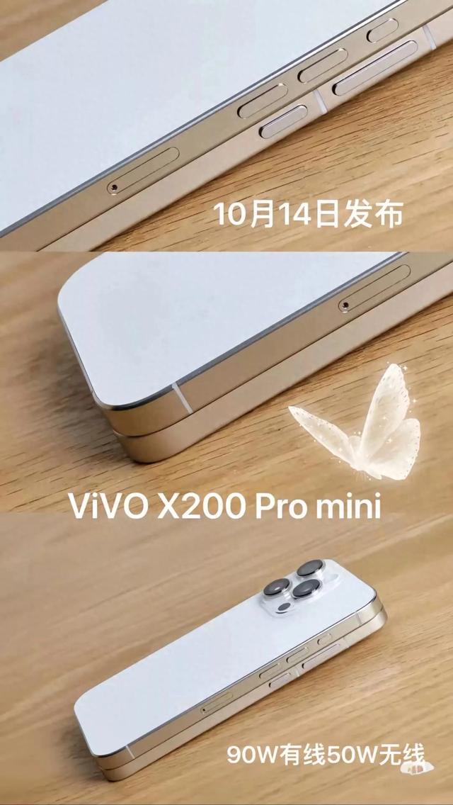 全网首发，vivo X200 Pro mini上手，小屏旗舰的新选择，但仍有遗憾