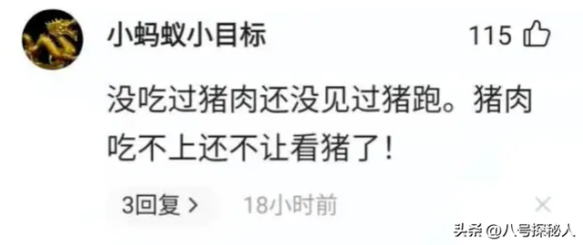 前几年靠探店爆火LOGO为何慢慢消失了？细纠后才明白他打破了规则,前几年靠探店爆火LOGO为何慢慢消失了？细纠后才明白他打破了规则,第10张