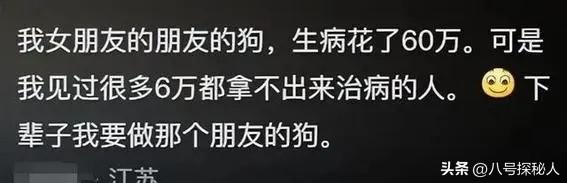 前几年靠探店爆火LOGO为何慢慢消失了？细纠后才明白他打破了规则,前几年靠探店爆火LOGO为何慢慢消失了？细纠后才明白他打破了规则,第17张