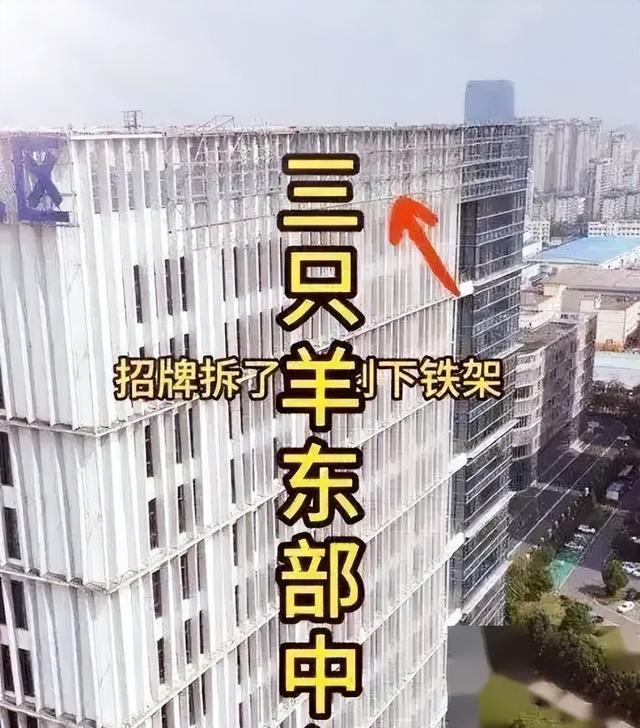 三只羊招牌已全拆，小杨哥不死心，小号直播试水被举报连连求饶,三只羊招牌已全拆，小杨哥不死心，小号直播试水被举报连连求饶,第9张