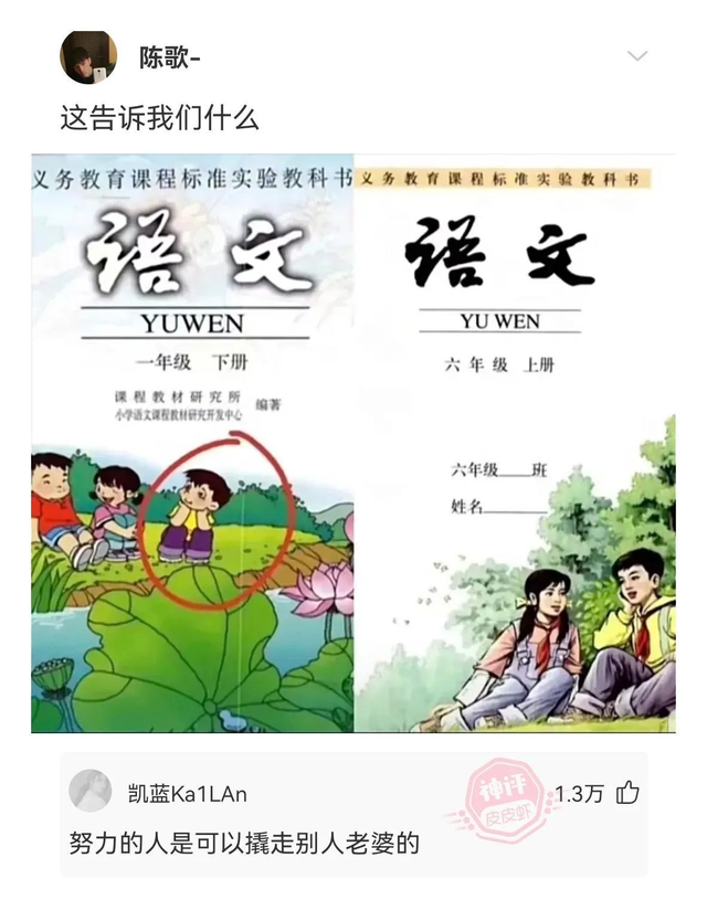 神回复：刘强东在宿迁的老家，像不像王府 ​​！,神回复：刘强东在宿迁的老家，像不像王府 ​​！,第32张