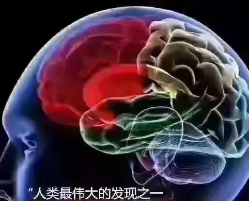 陈天桥亿元捐赠：是慈善的壮举，还是科研的曙光？,陈天桥亿元捐赠：是慈善的壮举，还是科研的曙光？,第4张