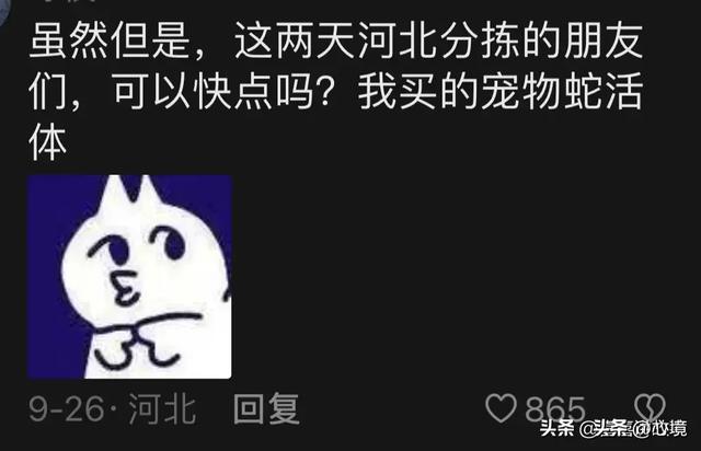 快递分拣中心才是日结的终结者 网友：永远忘不了王女士的2吨猫砂,快递分拣中心才是日结的终结者 网友：永远忘不了王女士的2吨猫砂,第4张