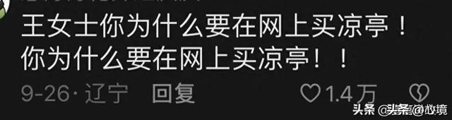 快递分拣中心才是日结的终结者 网友：永远忘不了王女士的2吨猫砂,快递分拣中心才是日结的终结者 网友：永远忘不了王女士的2吨猫砂,第8张