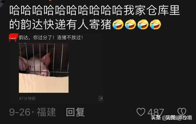 快递分拣中心才是日结的终结者 网友：永远忘不了王女士的2吨猫砂,快递分拣中心才是日结的终结者 网友：永远忘不了王女士的2吨猫砂,第9张