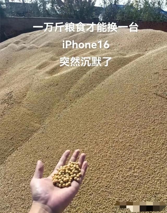 哭了，一万斤粮食才能换一台苹果16：看完评论区久久不能释怀