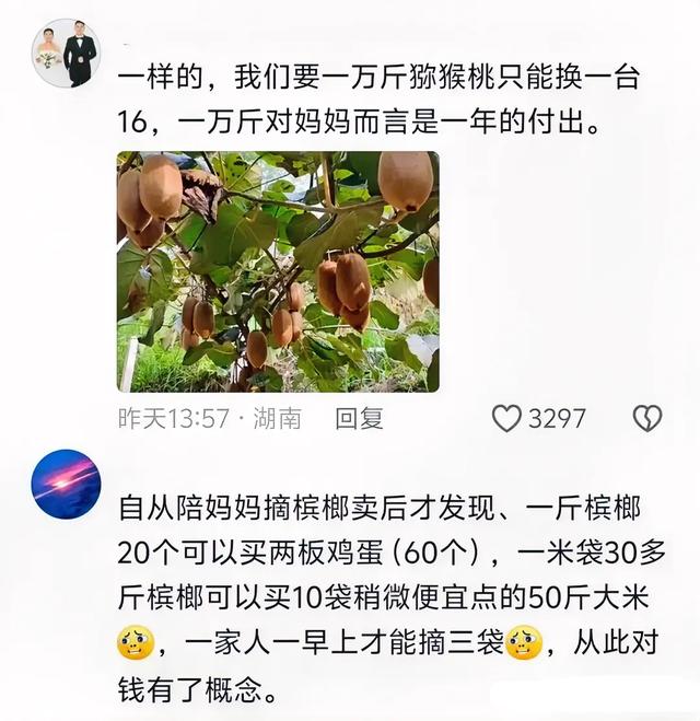 哭了，一万斤粮食才能换一台苹果16：看完评论区久久不能释怀,哭了，一万斤粮食才能换一台苹果16：看完评论区久久不能释怀,第9张