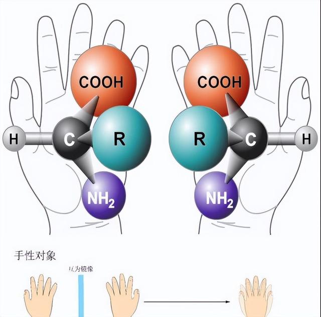 航天员如何在太空中自给自足？这些细菌可能帮得上忙,航天员如何在太空中自给自足？这些细菌可能帮得上忙,第5张