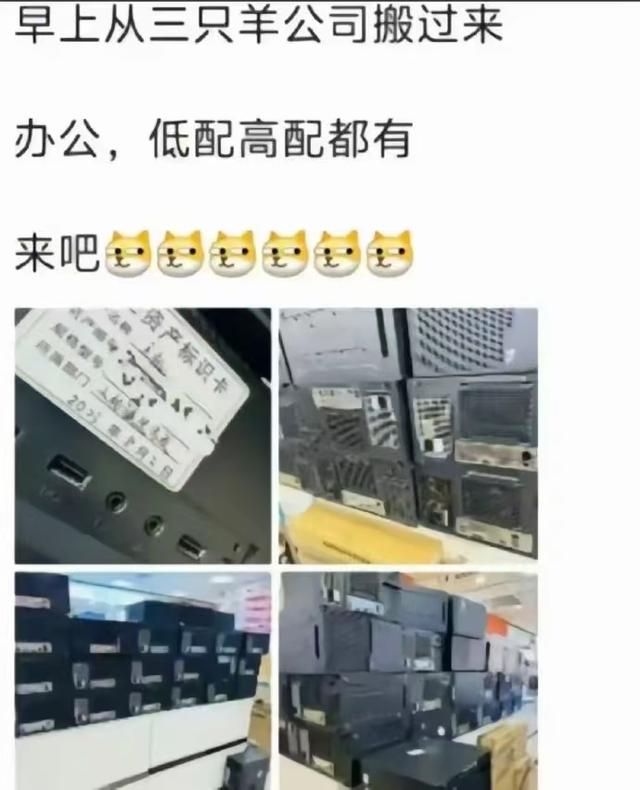 三只羊可能彻底凉凉，都开始变卖公司固定资产了，基本上都是电脑,三只羊可能彻底凉凉，都开始变卖公司固定资产了，基本上都是电脑,第5张